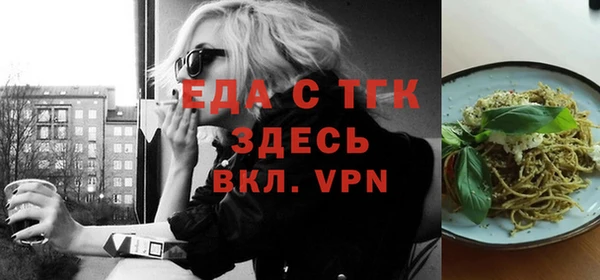 МДПВ Бородино