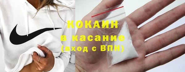МДПВ Бородино