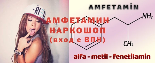 МДПВ Бородино