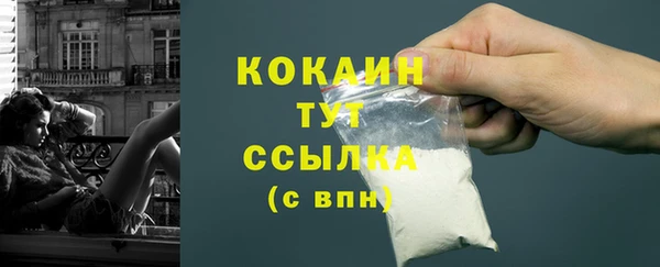 МДПВ Бородино