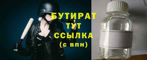 МДПВ Бородино
