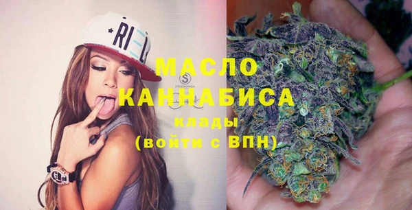 МДПВ Бородино