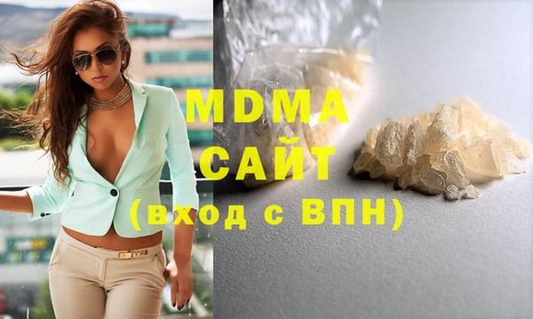 МДПВ Бородино