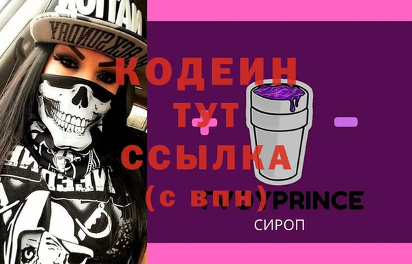 МДПВ Бородино