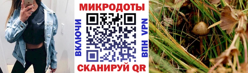 Псилоцибиновые грибы прущие грибы Симферополь